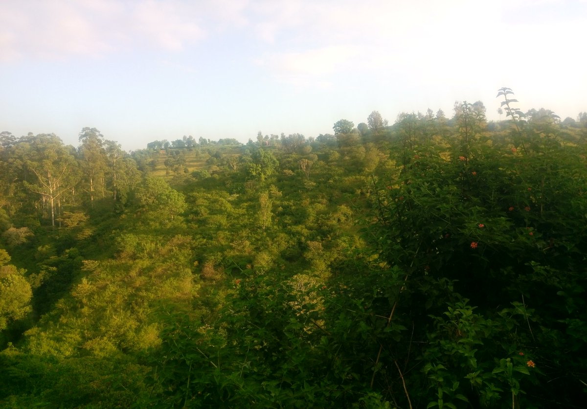 The place where we are stuck is 2km from Kiganjo. A very scenic village