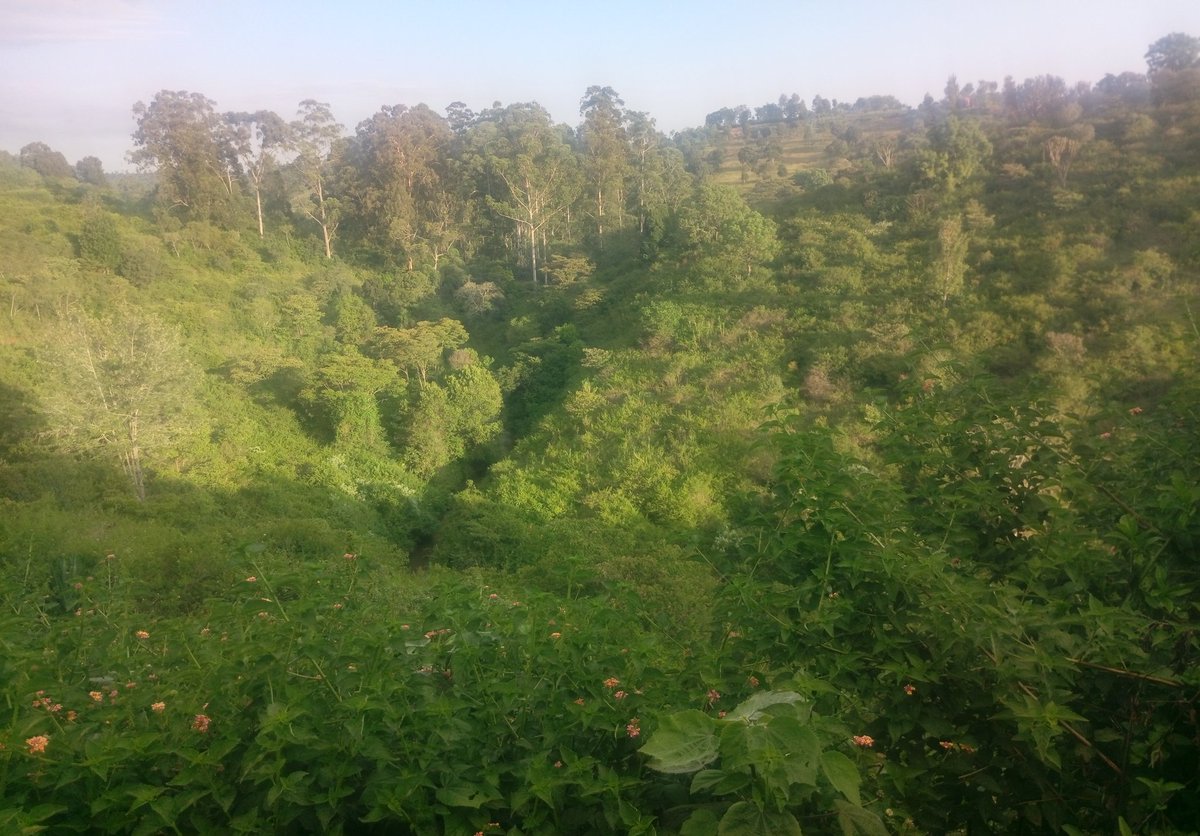 The place where we are stuck is 2km from Kiganjo. A very scenic village