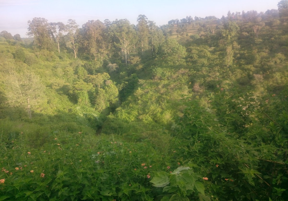 The place where we are stuck is 2km from Kiganjo. A very scenic village