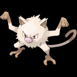 LimitedPokeFact's tweet photo. Mankey may be considered a counterpart of Meowth. Both of them are Generation I Pokémon who evolve into their evolved forms at or above level 28. https://t.co/m4rvj7v9tY
