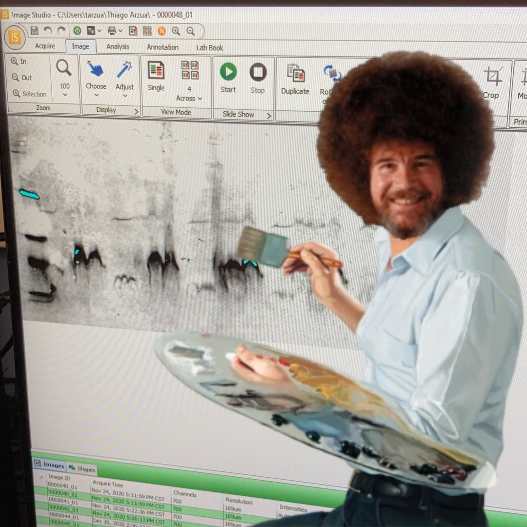 GradStudent_bot's tweet image. 석사 1년차까지는 랩미팅시 이렇게 하면 됩니다