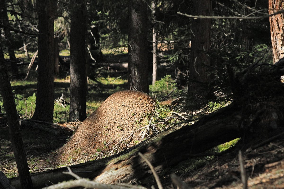 Ben R Fitzpatrick tweet media