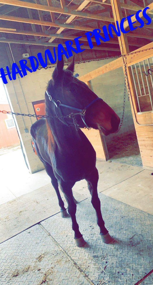 ShawStable tweet picture