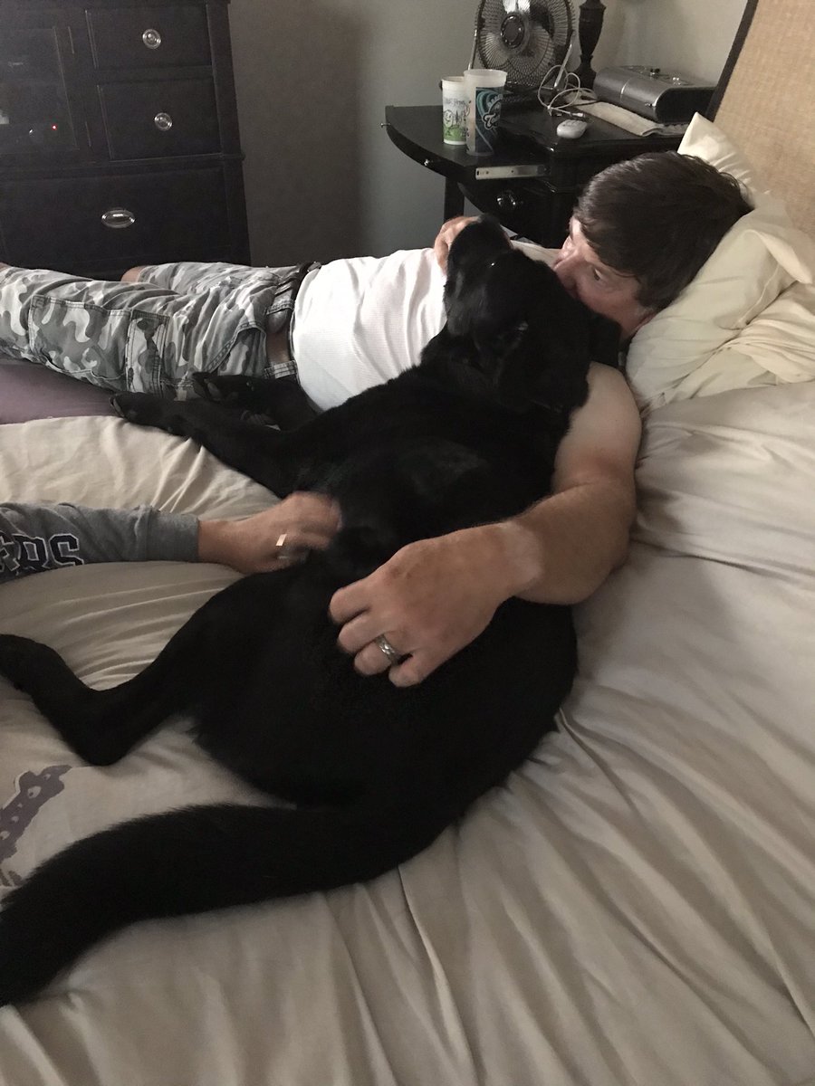 Scott Beam tweet media