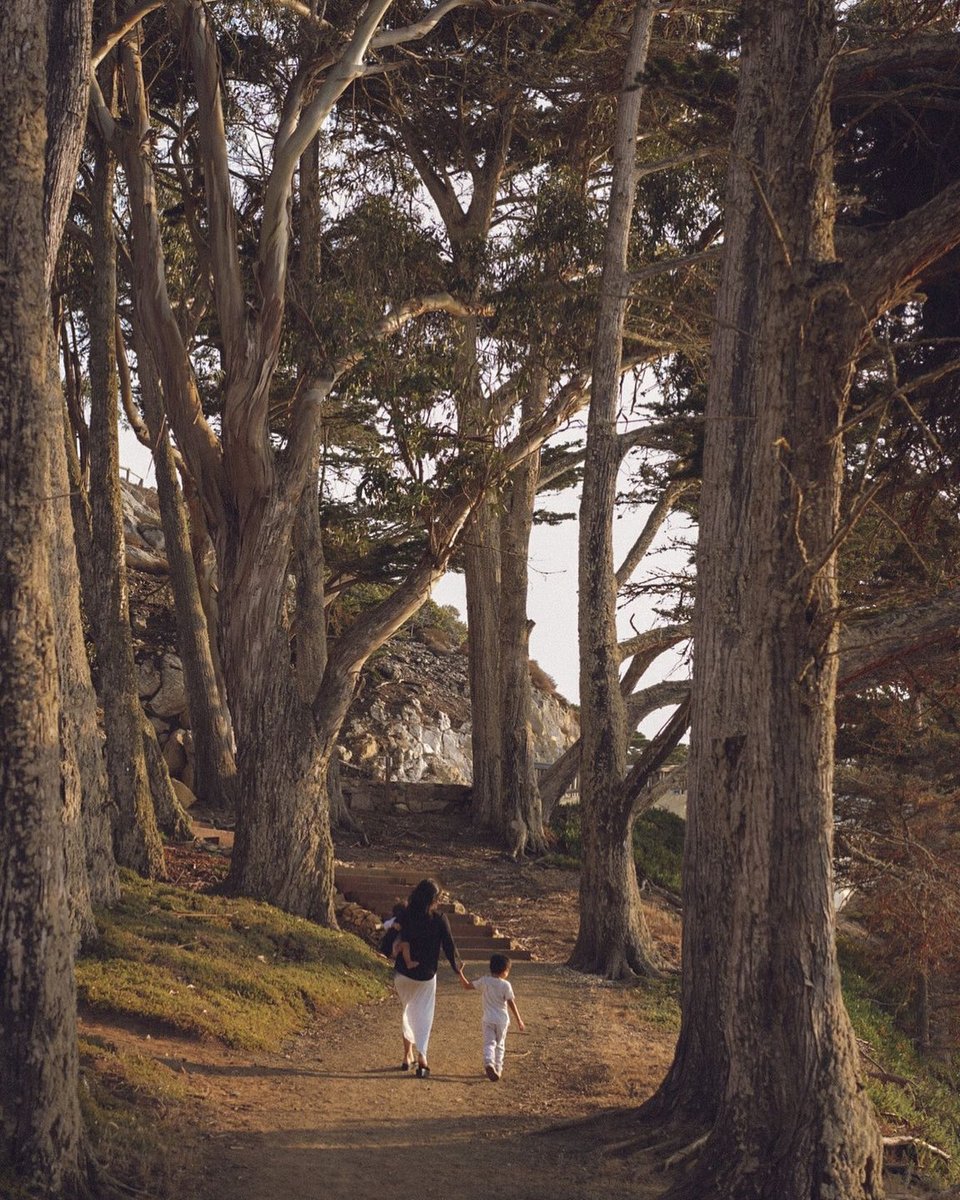 VisitSLOCAL's tweet photo. Get outside and enjoy the spaces in #SLOCALSafely 🌲 Photo by: a_r_i_a_n_a_h https://t.co/xA6NcbKwdW