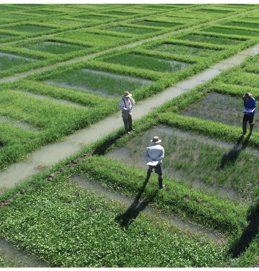 Dan Dixon tweet media