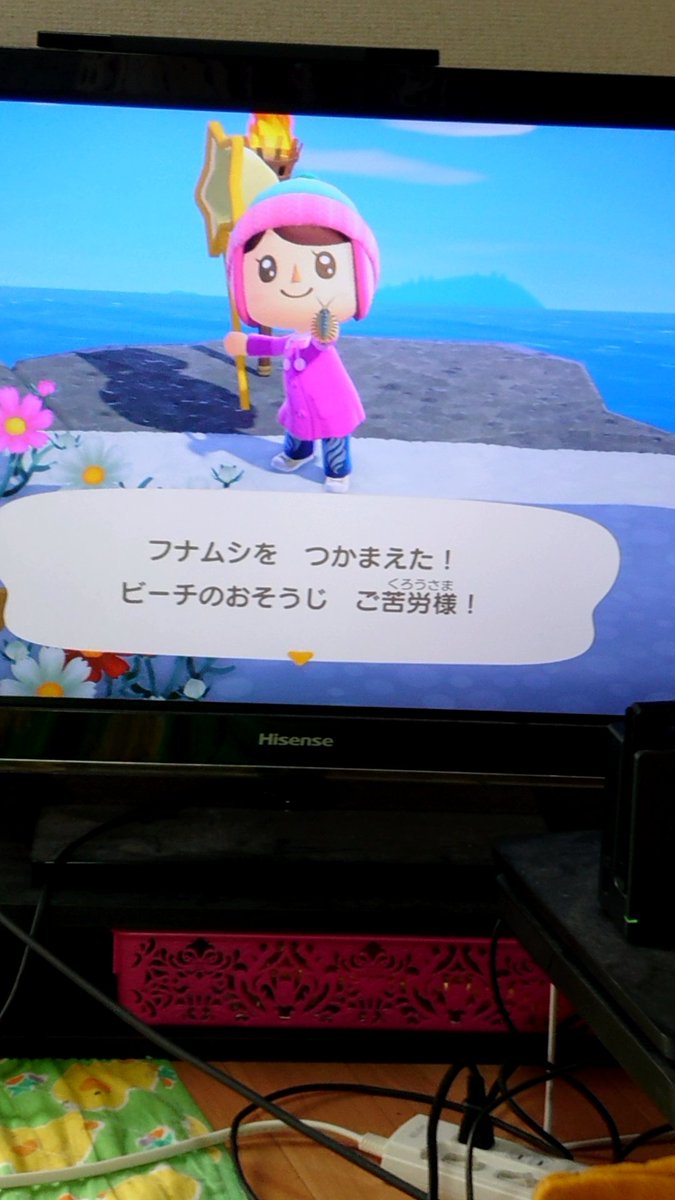 凛 あつ森 フナムシをとったよー 凛 あつ森 フナムシをとったよー