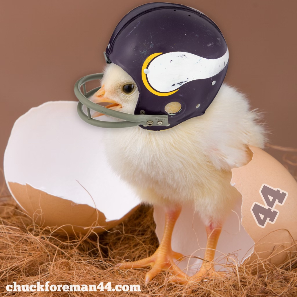 ChuckForeman's tweet photo. Hey look...it's Chick Foreman! 🏈🐣 https://t.co/zCga4uew4W