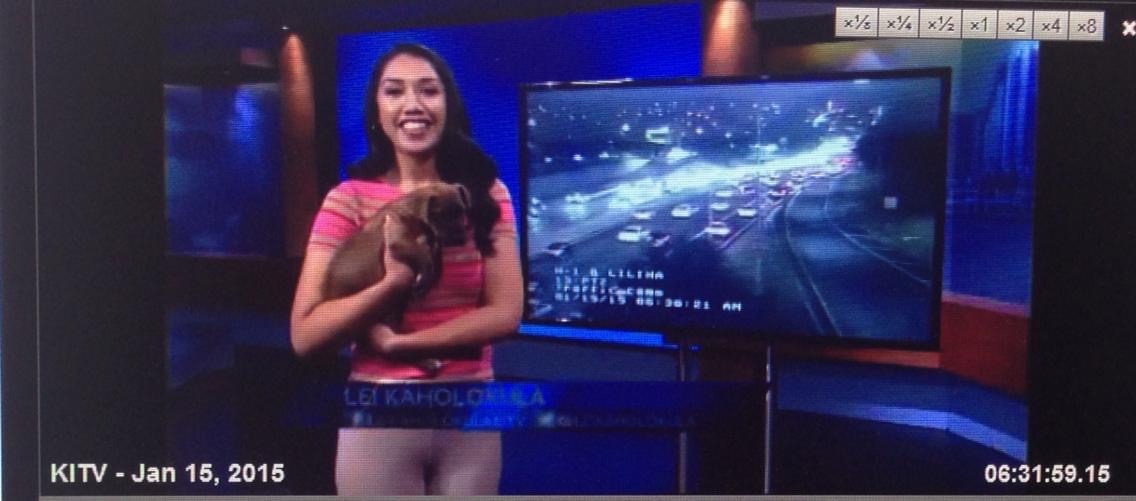 LeiKITV4's tweet photo. Back when puppies were priority, lol. 
#Flashback #Friday

Happy Aloha Friday, all! 
Stay safe this weekend 🤍 https://t.co/WUARtPDXbG