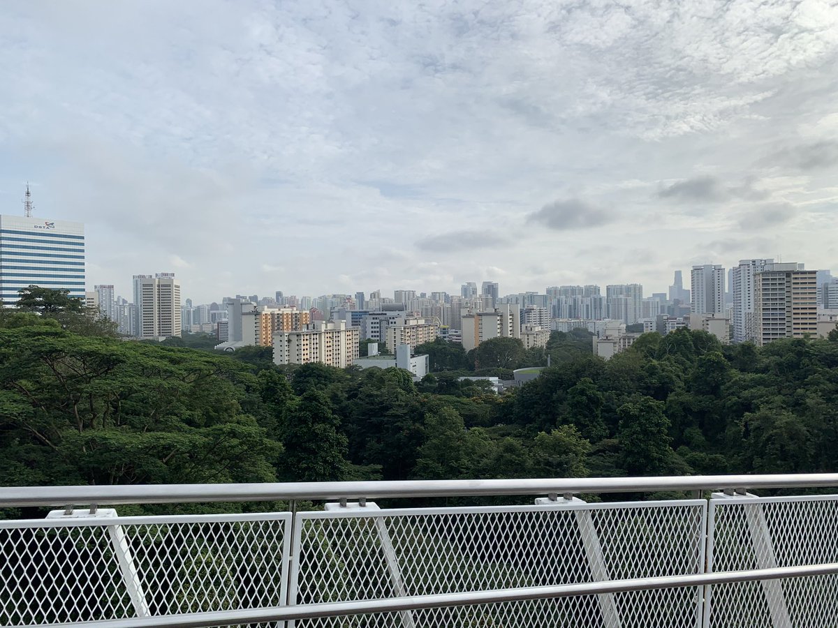 kmiyoshi75's tweet photo. 今日は久々に天気が良かったので一日をスッキリスタートするため(と、昨晩の酒を抜くため)、爽やかに(酒臭を身体中から撒き散らしながら)朝散歩。
#hendersonwaves https://t.co/ZUW29N5KEY