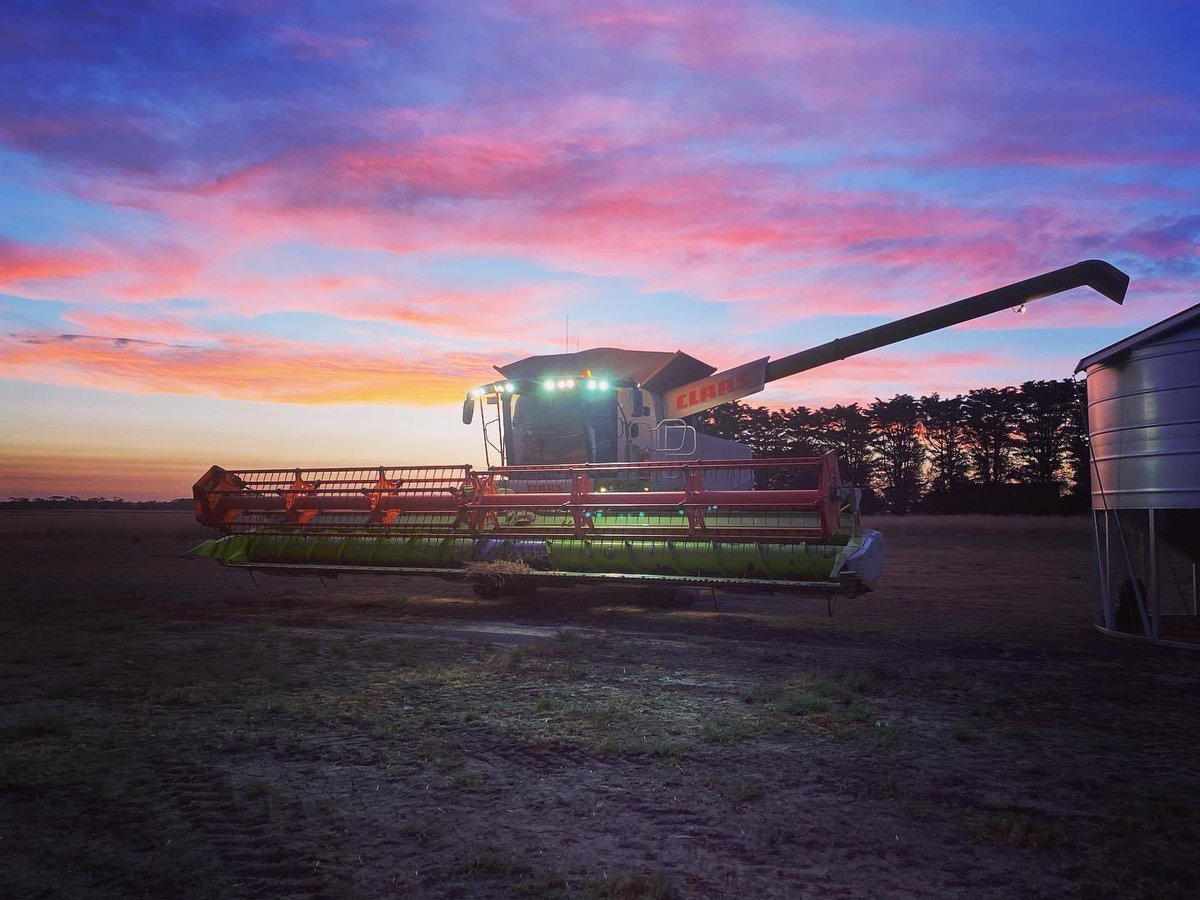 Alan79648744's tweet photo. Wouldn’t mind some hot weather so we can get back to harvesting https://t.co/4K5rXECNvX