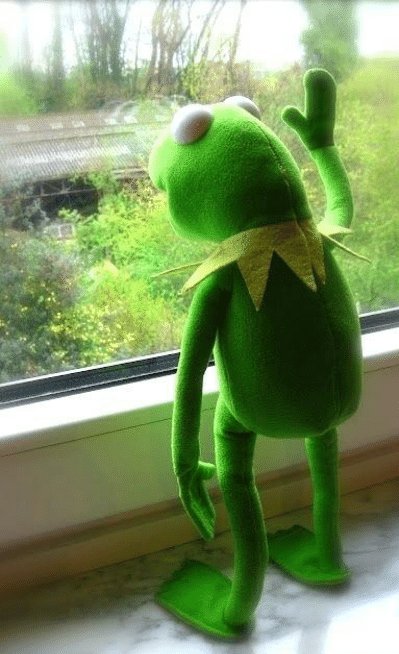 Kodiak__attack's tweet photo. @PlagueBlvd @lildvrkie me knowing ill be at work when the merch drops https://t.co/ay2LQeANRR