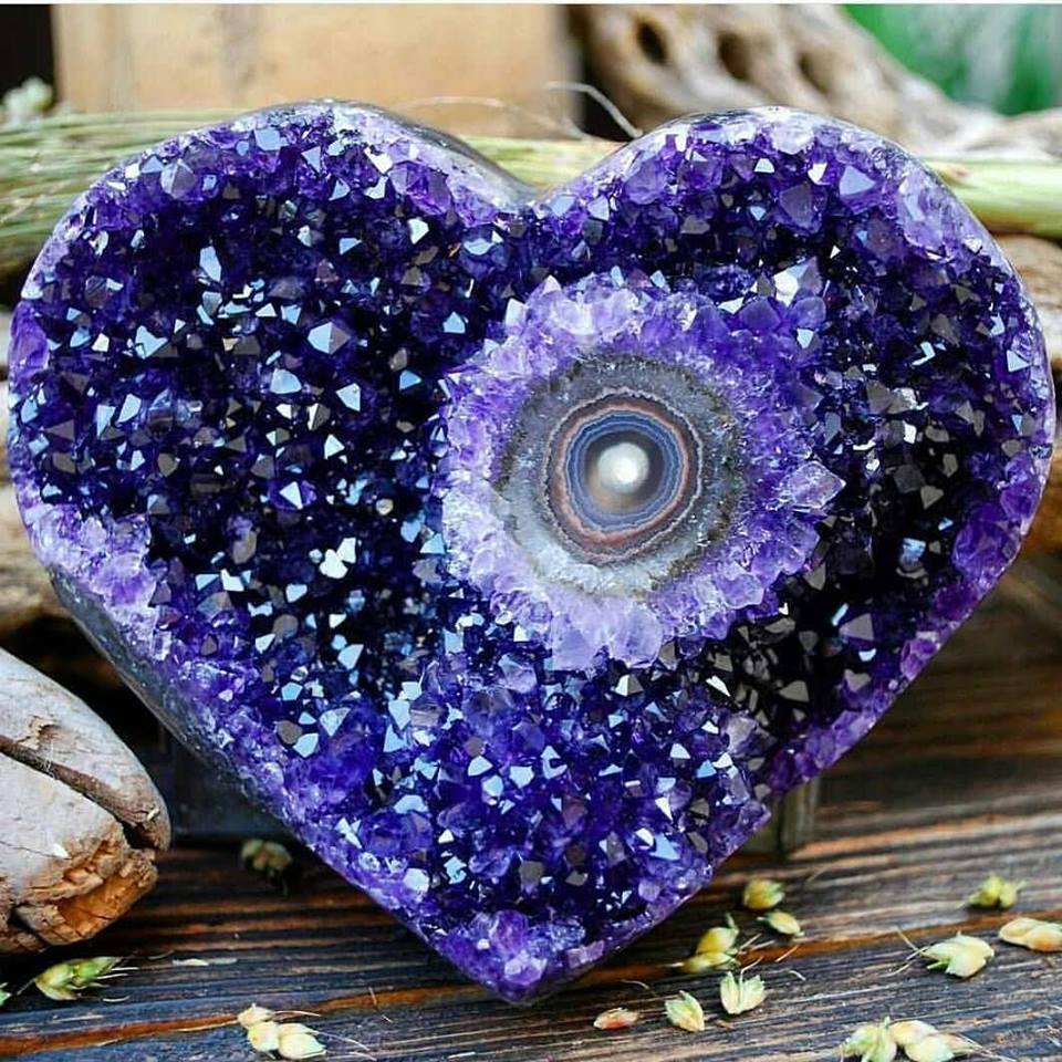 AilsaForshaw's tweet photo. Wow!! Amazing!! I LOVE #Amethyst! I would lose my mind, to stand in the middle of these giant #AmethystGeodes! Wow!! I have #Amethysts all over the house - I grew up around Amethyst mines - we should've bought an Amethyst Bear, years ago - was gorgeous!
Thanks, @EvanKirstel!💜💎 https://t.co/rlJlascaCf
