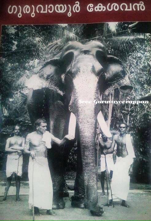 Gajarajan Guruvayur Kesavan  #guruvayur  #story Guruvayur Kesavan is one of the majestic elephants who served Guruvayurappan for 54 years. Valiya Raja of Nilambur once prayed to the Shri Krishna to save his family and property from the enemies attack and promised