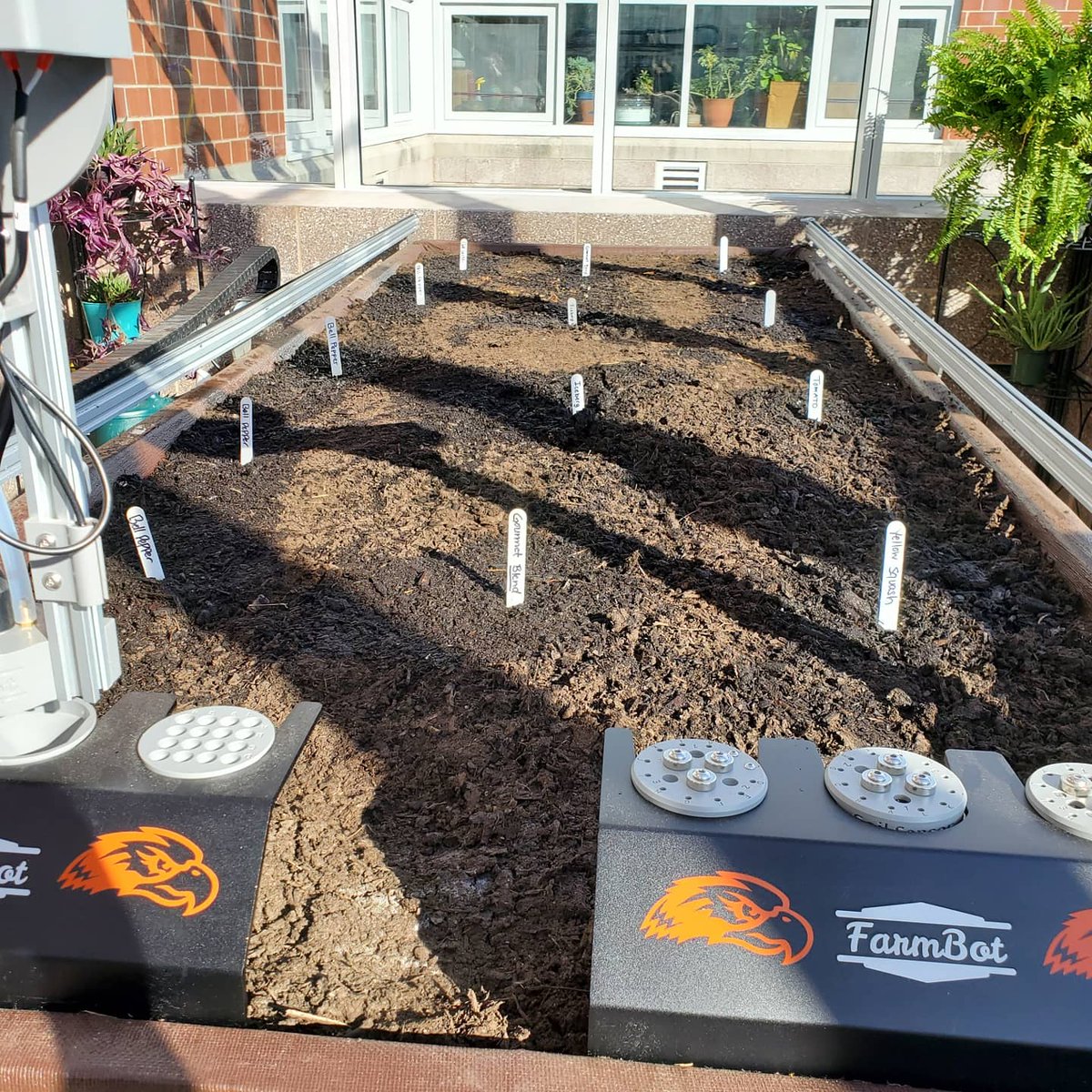 Mrs_Greening's tweet photo. From seeds to salad. The updated greenhouse at Hanover Middle School in Hanover, Pennsylvania.
@farmbotio @HanoverMiddle @HanoverPublic #FarmBot #hpsdawesome #STEAM7 #STEAMedu #agriculturalrobotics #environmentalAI #growyourownfood #organicfarming https://t.co/6iWs90dxRq