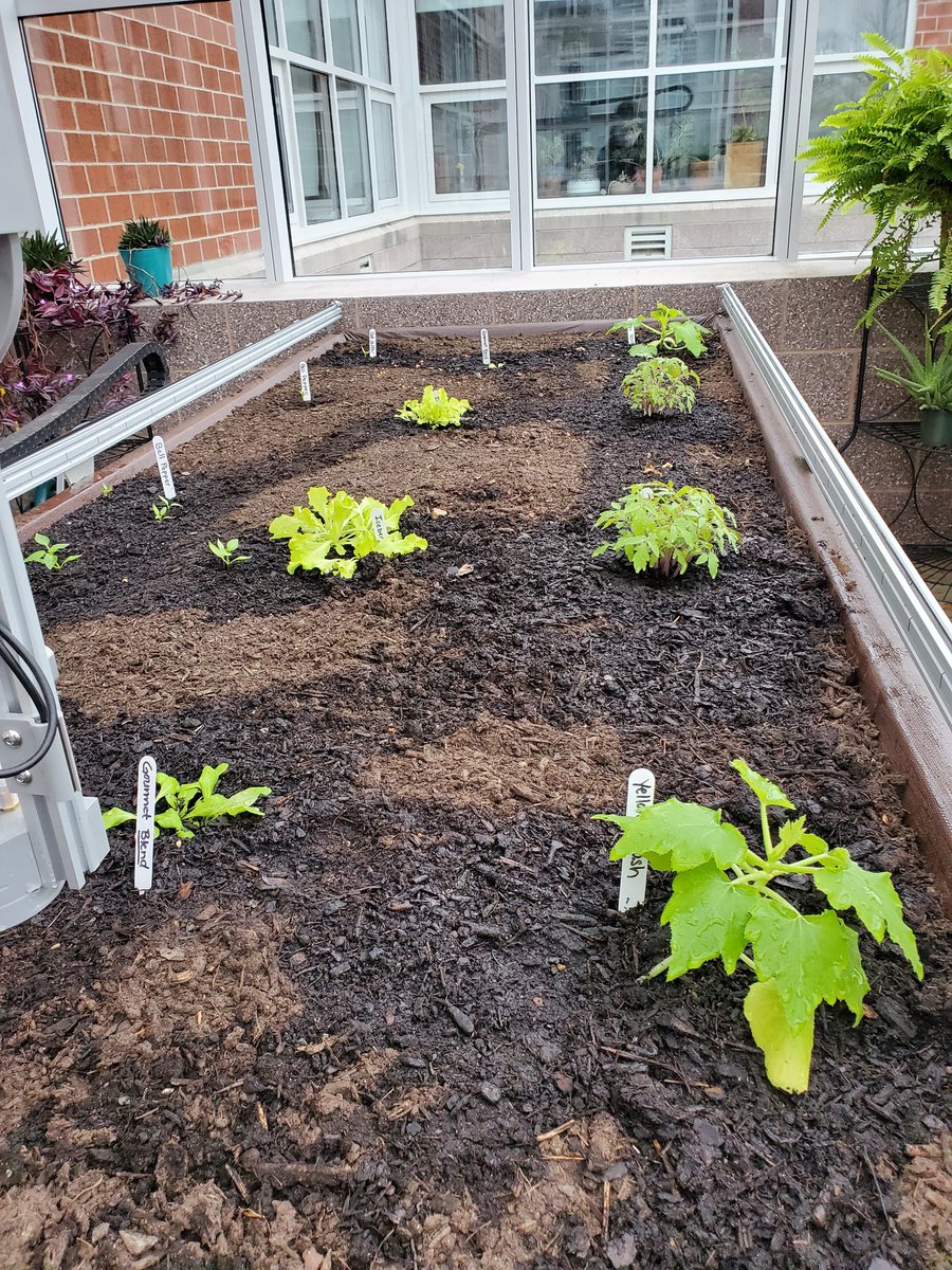 Mrs_Greening's tweet photo. From seeds to salad. The updated greenhouse at Hanover Middle School in Hanover, Pennsylvania.
@farmbotio @HanoverMiddle @HanoverPublic #FarmBot #hpsdawesome #STEAM7 #STEAMedu #agriculturalrobotics #environmentalAI #growyourownfood #organicfarming https://t.co/6iWs90dxRq