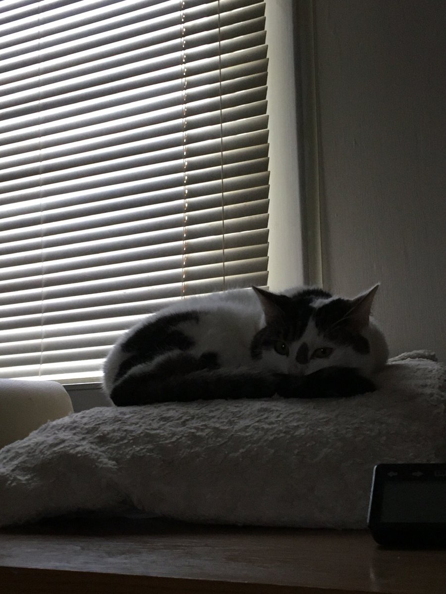 Alison Mckenzie tweet media