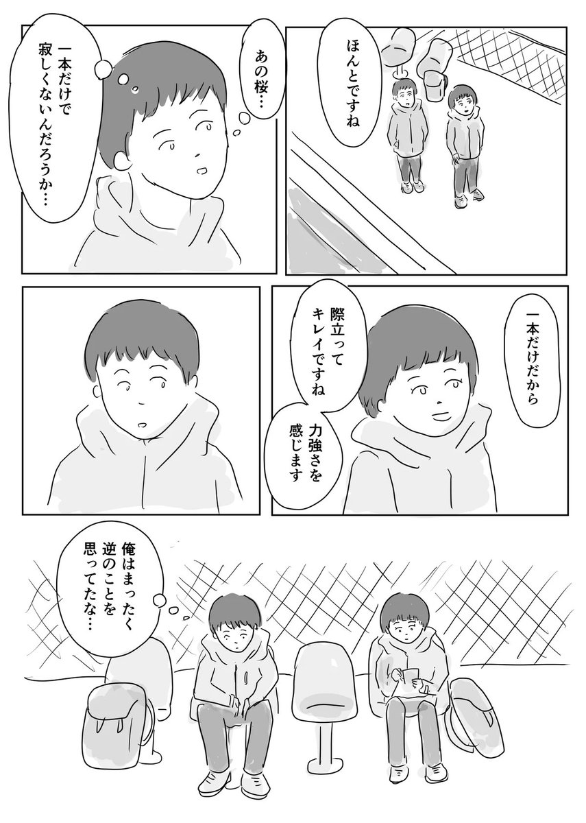 山桜 