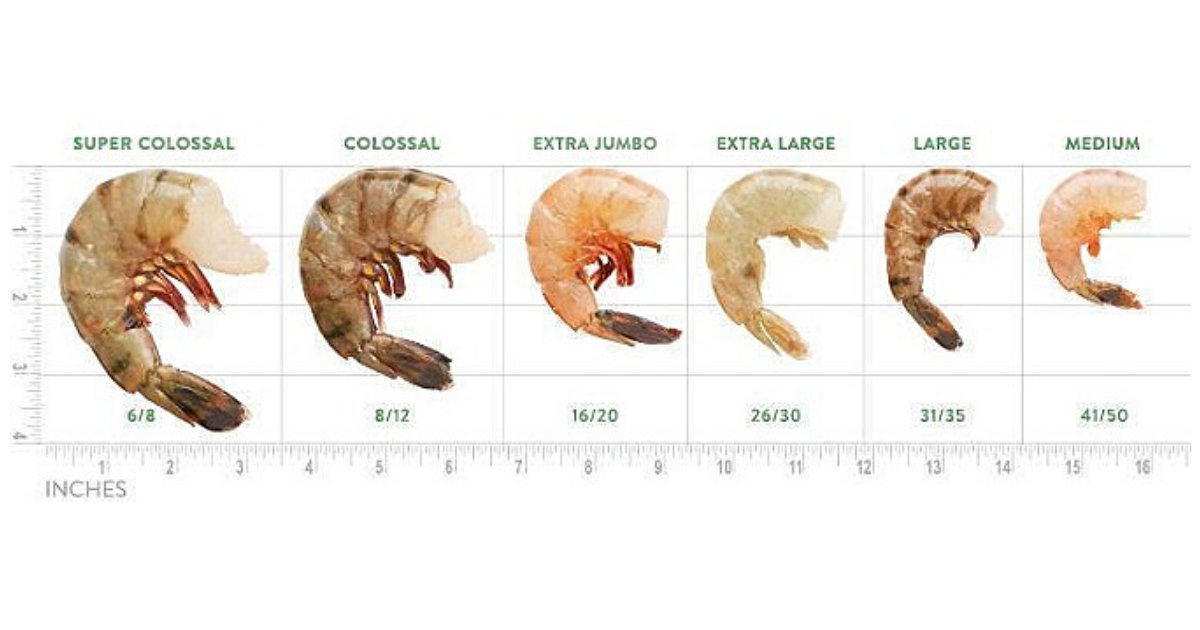 Ferraro_Foods's tweet photo. Did you know that shrimp lose a size in each stage of the value addition process? Become more informed on the shrimp market and your options by reading here >> https://t.co/0HzON3RoHy https://t.co/SbTeohdFJs