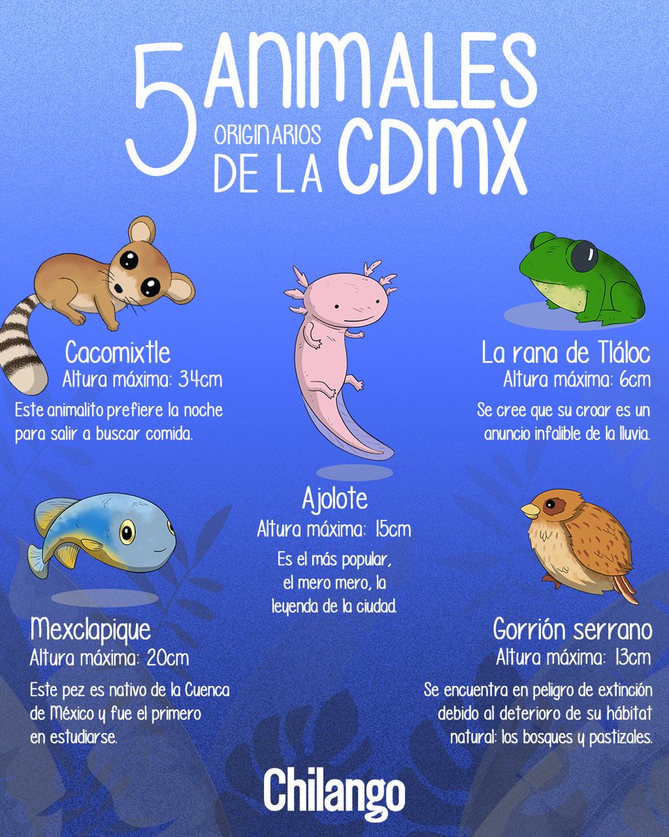 La fauna en la #CDMX es increíble, ¿ya conocías estas especies chilangas? 🤩