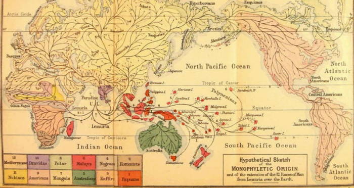 The theory was proposed as an explanation for the presence of lemur fossils in both Madagascar and India. Although scientifically disproven - we know that the isolated island of Madagascar in the Indian ocean is still home to the earths most densely populated biodiversity.