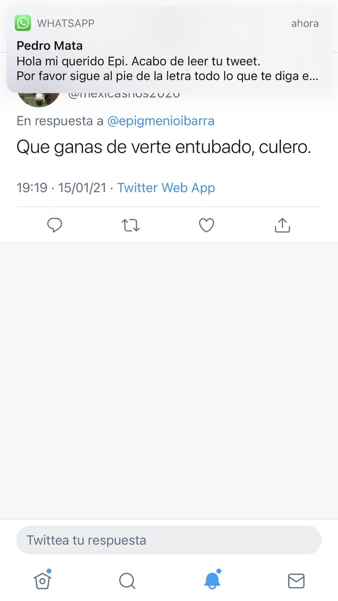 epigmenio ibarra tweet media