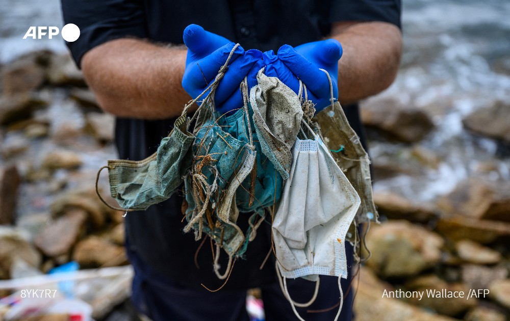 AFP's tweet photo. Masks that helped save lives during the coronavirus pandemic are proving a deadly hazard for wildlife, with birds and marine creatures ensnared in the staggering number of discarded facial coverings littering animal habitats https://t.co/aKdYq1Z2xW https://t.co/nlYoMasZ63