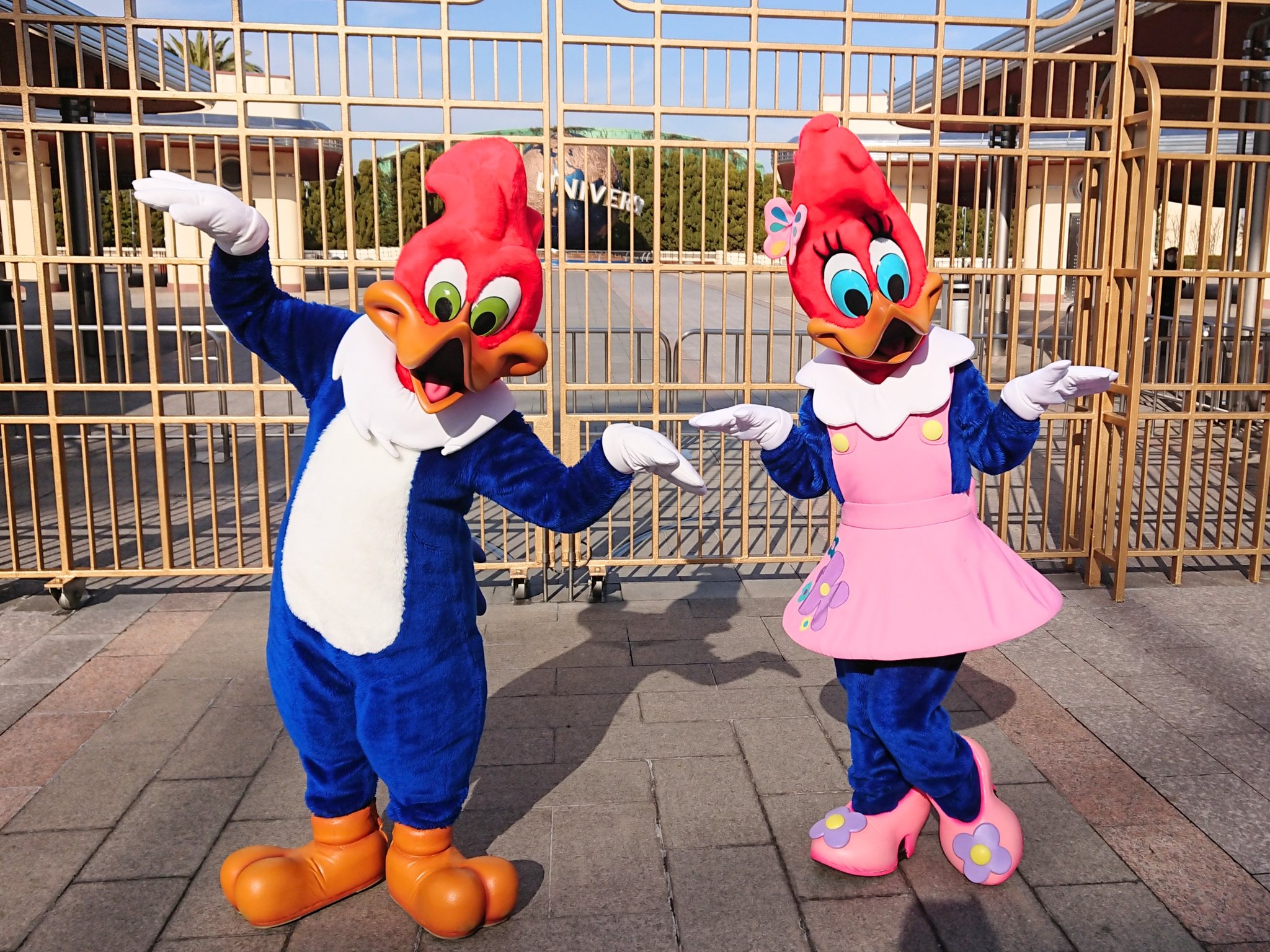 Kara 昨日 1 15 のメインキャラクター様 ギャラリー少なくてついに媚始めた 珍しくイジらんと服装褒めてくれたりなんかして 空飛ぶ鍵ネックレスに気付き鳥さんポーズ いや あなたたち鳥 Usj Usjファン ウッディー ウッドペッカー ウィニー