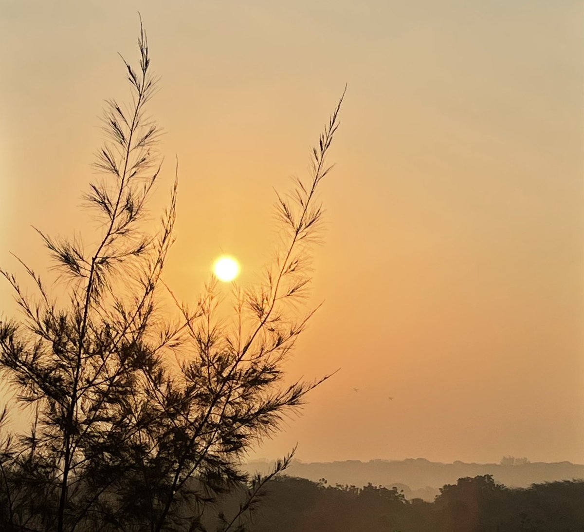 Every sunrise is an invitation for us to arise and brighten someone’s day...☺️☺️

#sunrise #sunrisephotography #sunrisepics🌅 #sunriseoftheday #sunrise_shotz #morningmotivation☀️ #photography📷 #photooftheday #pictureperfect #shotoniphone12 #photographylove #photographylife📸