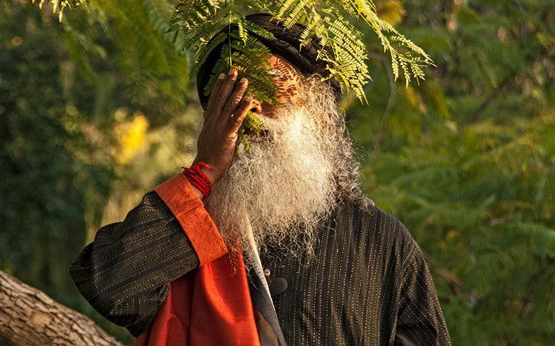 SadhguruJV's tweet photo. Once you experience all life forms as a part of yourself, you cannot help but fall in love with everything around you. #SadhguruQuotes https://t.co/hLhqMPpnhX