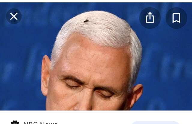 kmk1072's tweet image. I understand that Pence has asked to be placed on the no-fly list