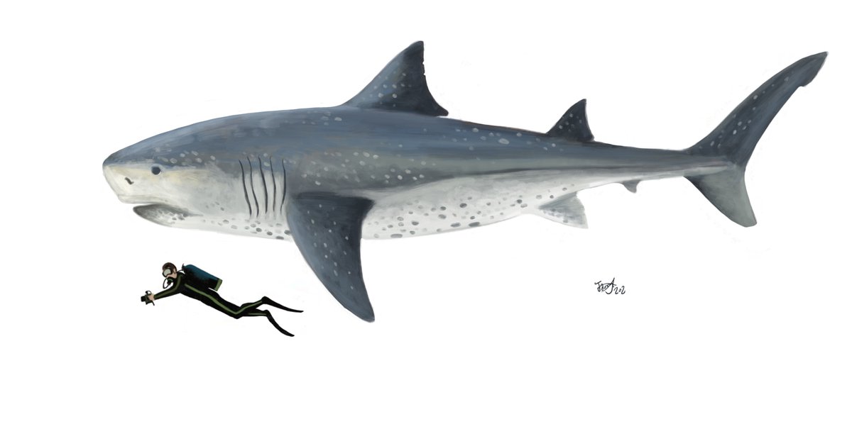 So with  @Carnoferox ' help I doodled a new version, perhaps closer to what the real thing may have looked like. And here it is!