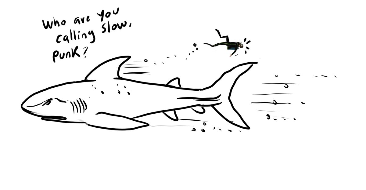 As it turns out, there are fossils out there that show it was likely a pelagic shark. Chances are high it looked nothing like my first doodle; it would've had a much different body plan- that of a constantly active swimmer capable of decent speed.