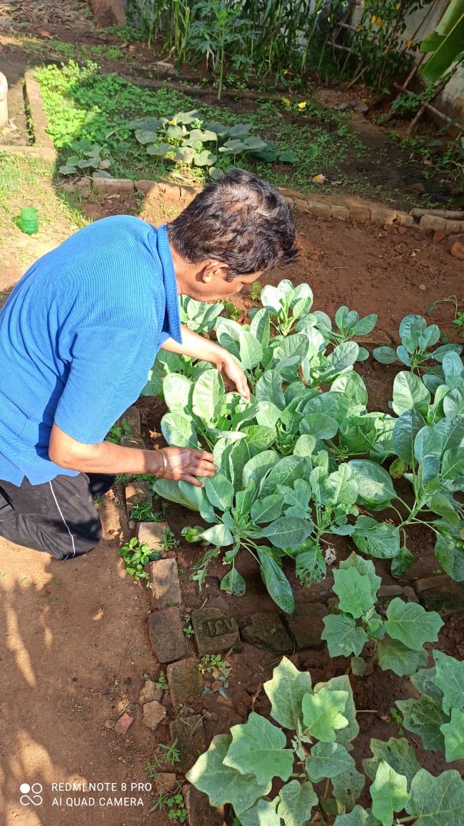 pkmerkap's tweet photo. India’s #culinary science respects #Biodiversity,and the #value of #Life..this #emphasises more on #local and #seasonal foods...#Nutrigarden. #nutritiousfood https://t.co/GHfYymus8Y