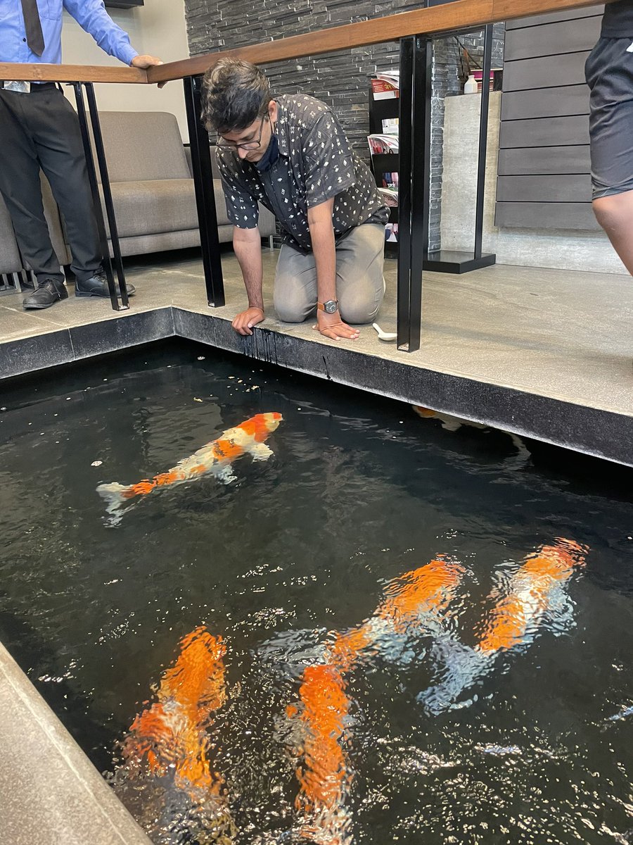 AkkshyeTulsyan's tweet photo. “When u fish for love bait with your heart and not your brain”

@devargtweets feeding some koi with great compassion.
@adipraj thanks for enabling this. https://t.co/HXVwkF3g5X