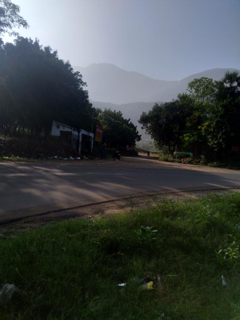 [ THREAD ] இயற்கையைக் காணும் பொங்கல்    Cycling in my favorite Jarugumalai route. Today going in that road which leads to Adimalaipatti & connects to Jalloothupatti.The hill behind is called Bodhai Malai, before summer begins planning to trek to the top    