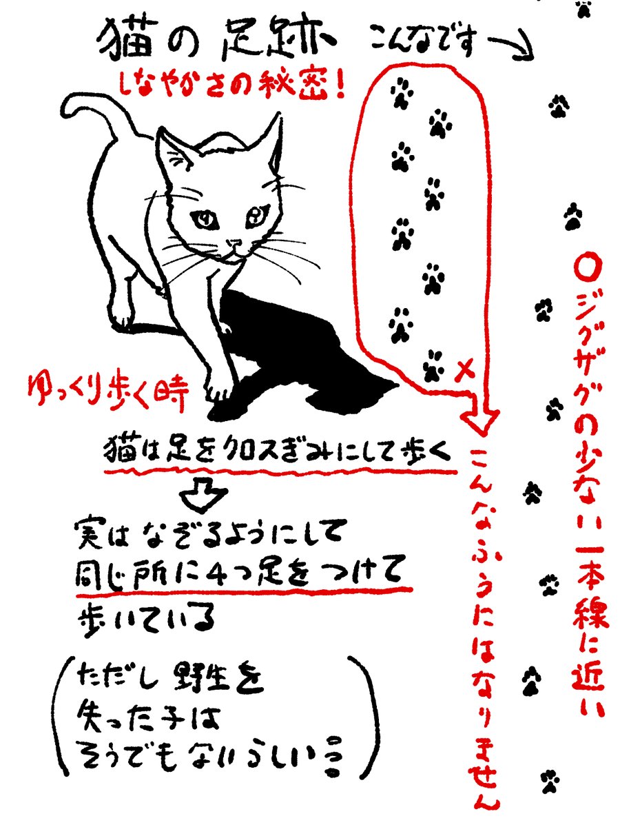 在庫わずかになった来ました。
ネコカクマク 〜猫画上手く描ける方法〜 | studioff https://t.co/RVOB0pT4yY #booth_pm 