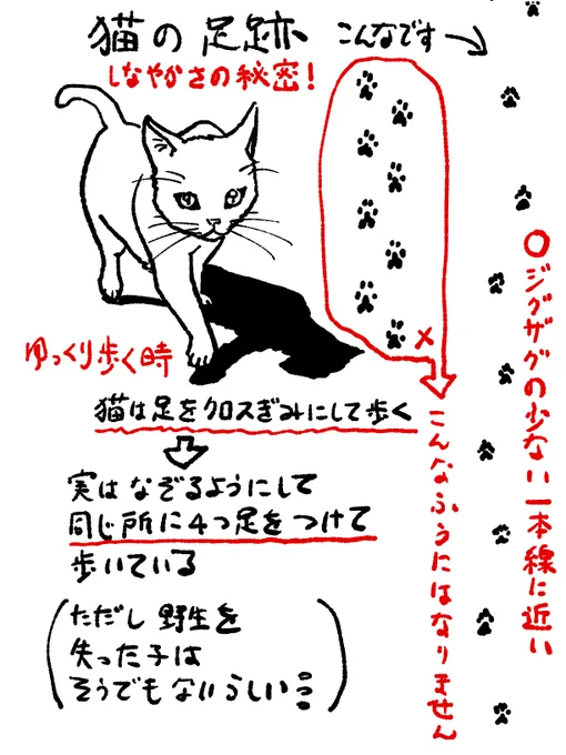 在庫わずかになった来ました。ネコカクマク 〜猫画上手く描ける方法〜 | studioff  #booth_pm 