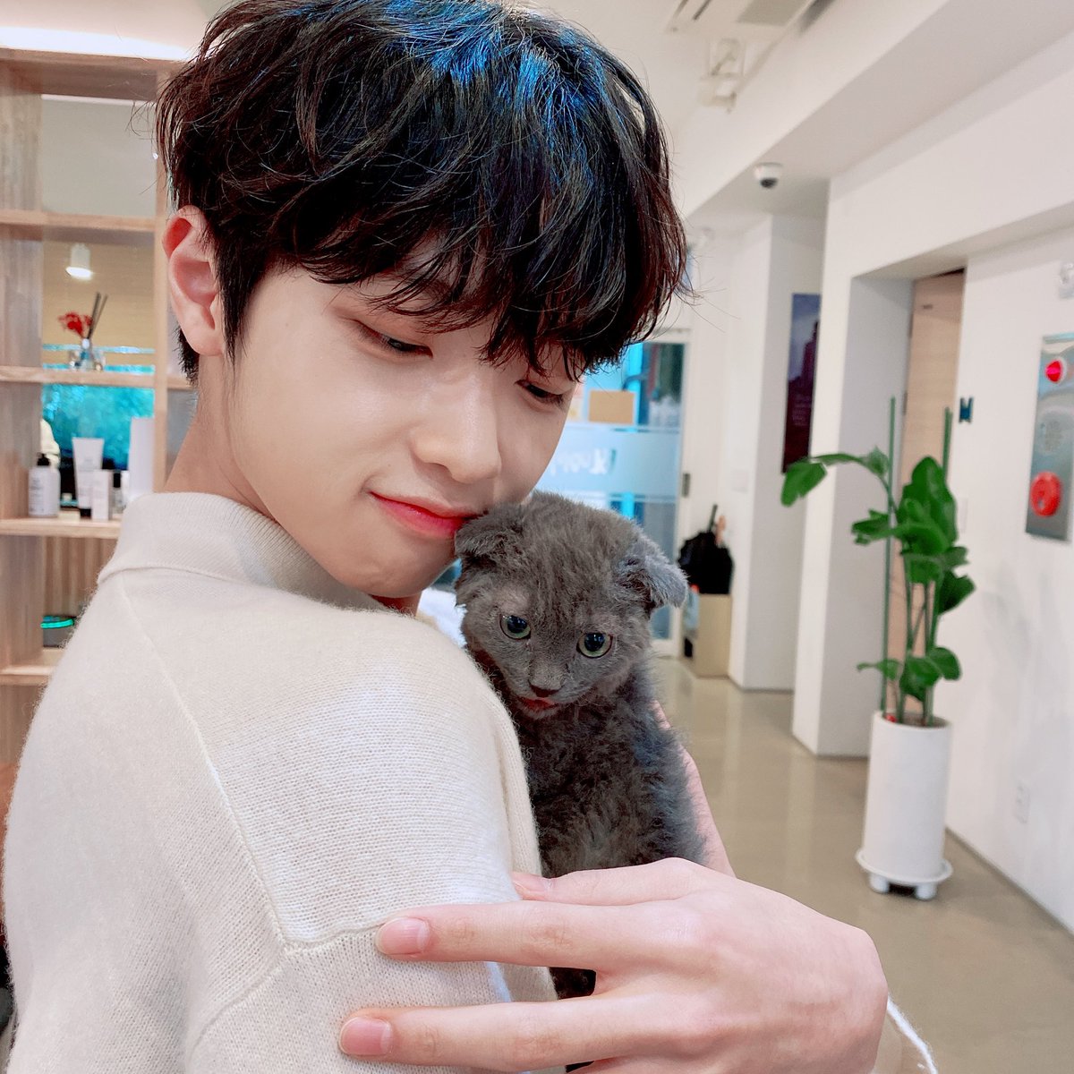 미래소년 (MIRAE) OFFICIAL tweet media