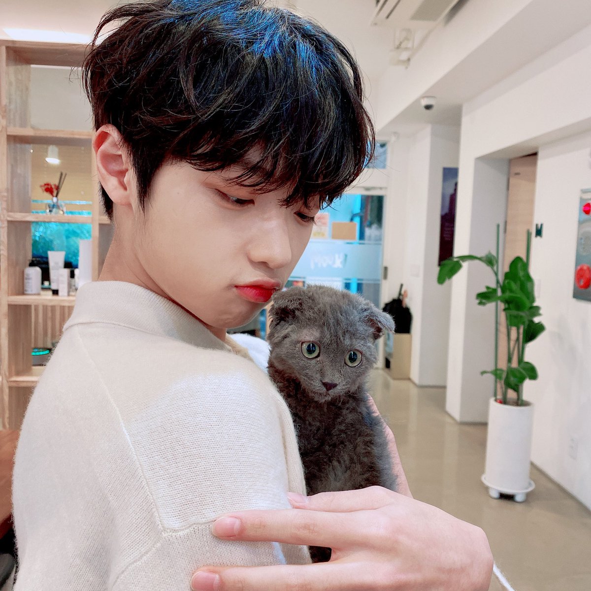 [💌]
누가 고양ㅇㅣ게....?😊
너무 귀여워서 앞으로 뒤로 좌회전 우회전🤯

#DSP_N #손동표