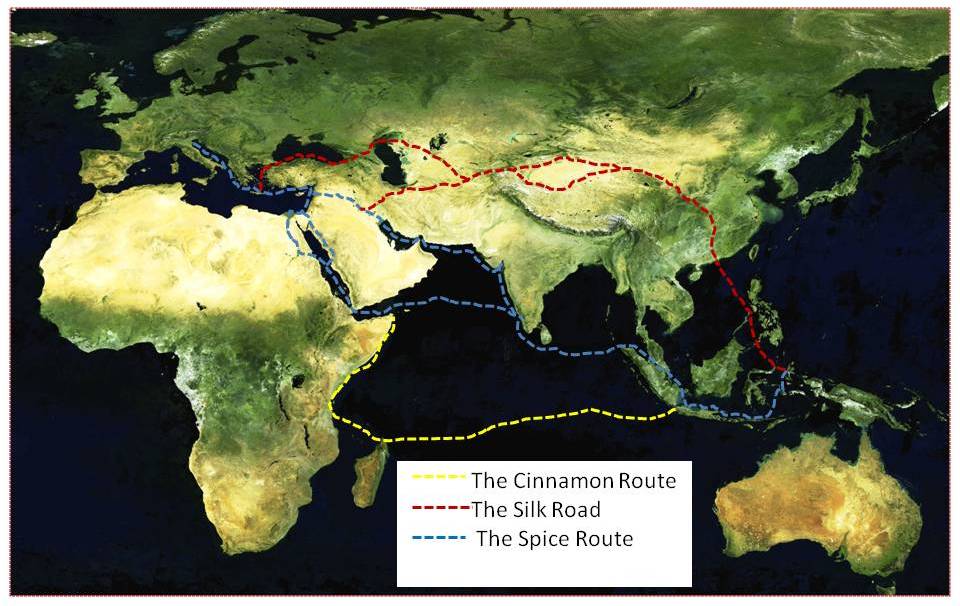 These ships were known to have been seaworthy enough to sail across the Indian ocean to Africa on what was known as the Cinnamon trade route.