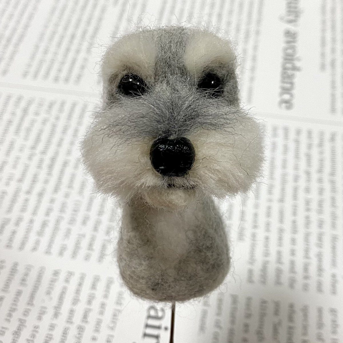 羊毛フェルト シュナウザー里親様決まりました