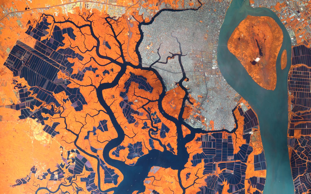 Some people embrace trees and some trees embrace cities, not only to provide what we need to live but to wake up our mood 🌳💦 #TreeOfLife

#Guayaquil, largest city of #Ecuador and capital of #Guayas Province | <a href="/CopernicusEU/">Copernicus EU</a> #Sentinel2 🛰️
Full Size -&gt; flic.kr/p/2ksyiJK 🧐