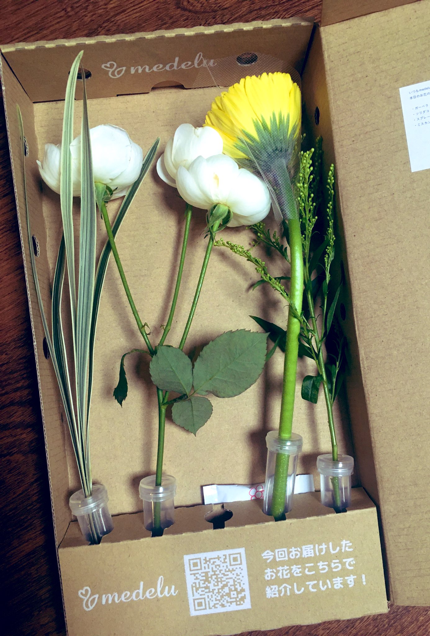 くろぽち 新年からはじめたお花のサブスク 初回が届きました 一本一本シリンダーみたいのに入っててすごい そして届いた花の名前や 花言葉や生け方例とかスマホですぐ見られるのもすごい 未来 スプレーバラ ガーベラ ソリダコ ミスカンサスでした くろぽち 新年からはじめたお花のサブスク 初回が届きました 一本一本シリンダーみたいのに入っててすごい そして届いた花の名前や 花言葉や生け方例とかスマホですぐ見られるのもすごい 未来 スプレーバラ ガーベラ ソリダコ ミスカンサスでした