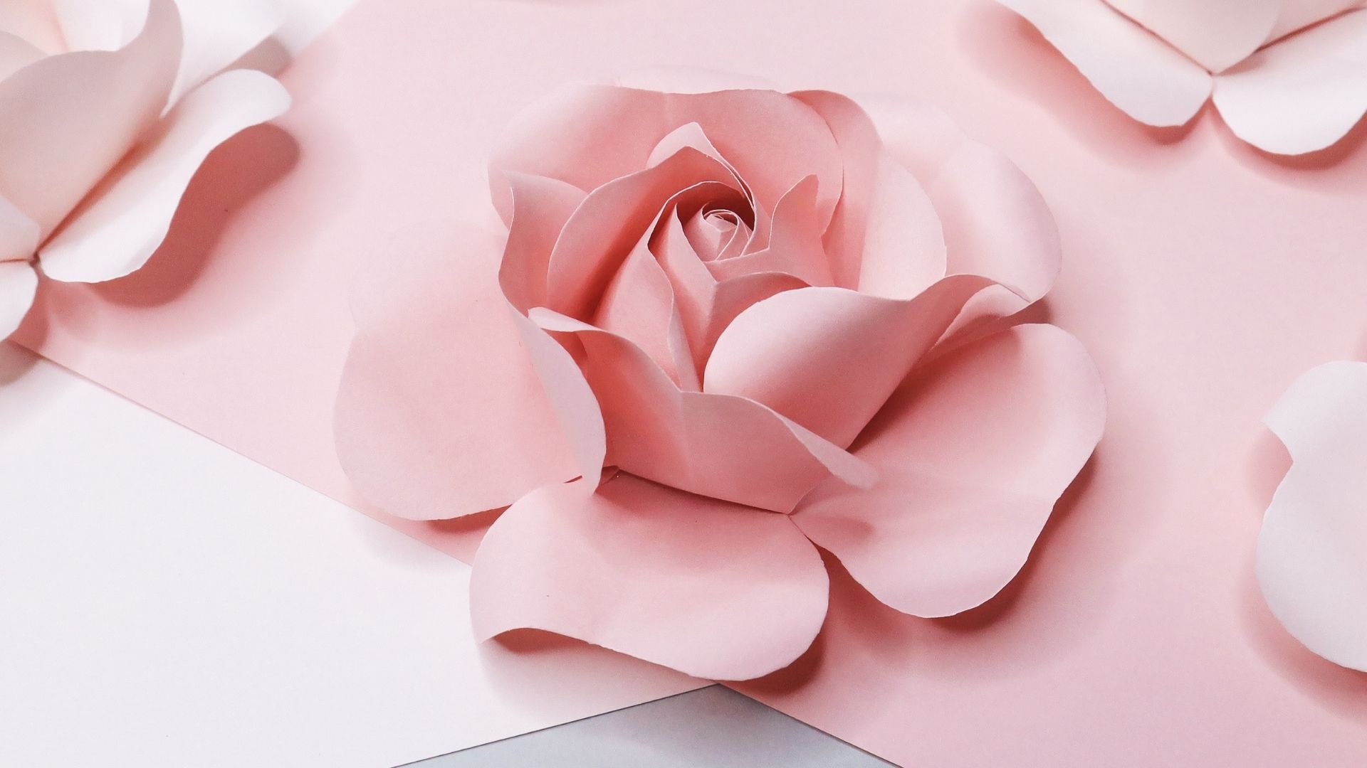 Ayawang ペーパーバラ 作り方動画 T Co Qngqs5mvva ペーパーバラ 紙薔薇 折り紙花 折り紙バラ 切り紙ばり Paperrose T Co Vfv2eqe6aj Twitter