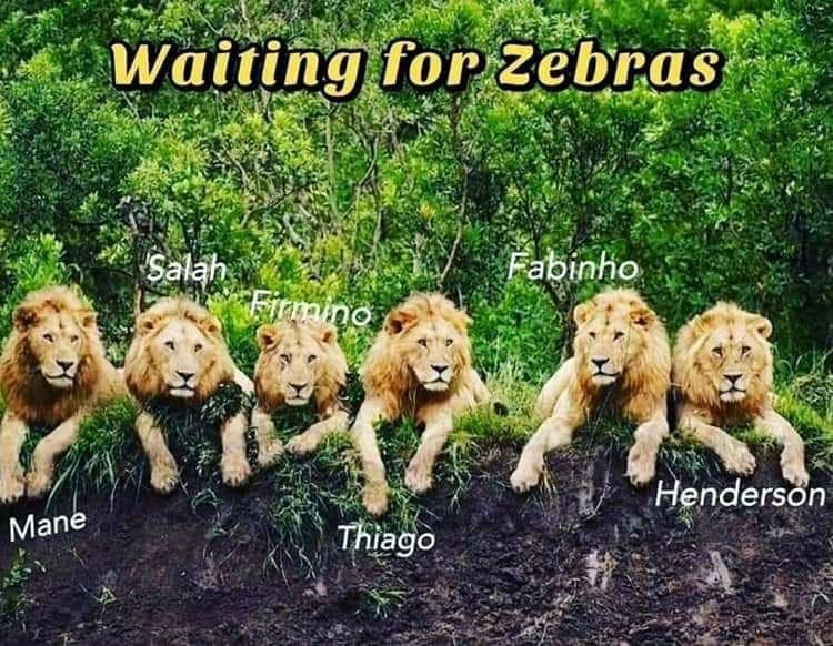 BKshoni's tweet photo. We are ready @mikemadoda @AChinomwe @smanguwa @Chakariboy https://t.co/fIYsXmYlmv