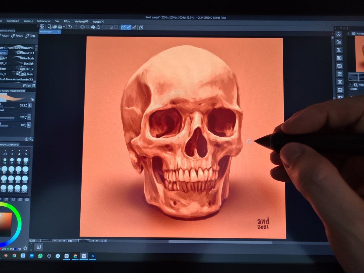 artofand's tweet photo. Smiley woman study with my #Cintiq16 in @clipstudiopaint @wacom @WacomEspanol #skull #anatomy #illustration #digitalart https://t.co/c8svomvXIg