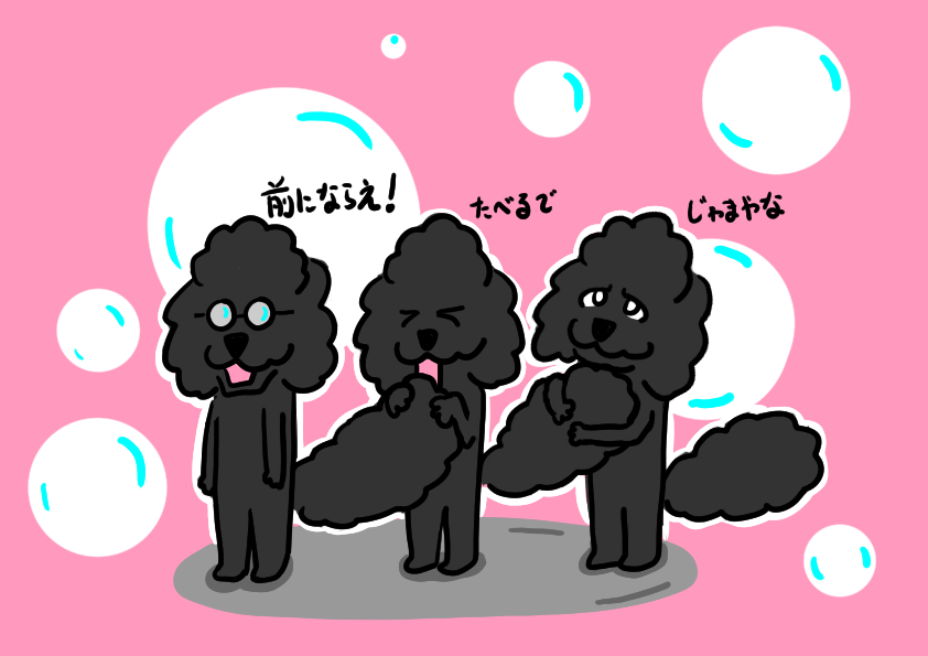 ヨー 前にならえ トイプードル イラスト 犬 クリップスタジオ