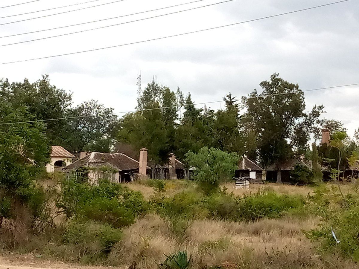 There's a big story here for good story tellers to tell. The Silverbeck Hotel, smack on the equator as you enter Nanyuki town from Nairobi. Dilapidated cottages inside overgrown bushes that have remained closed since the reception, bar and restaurant building burnt down in 1972.
