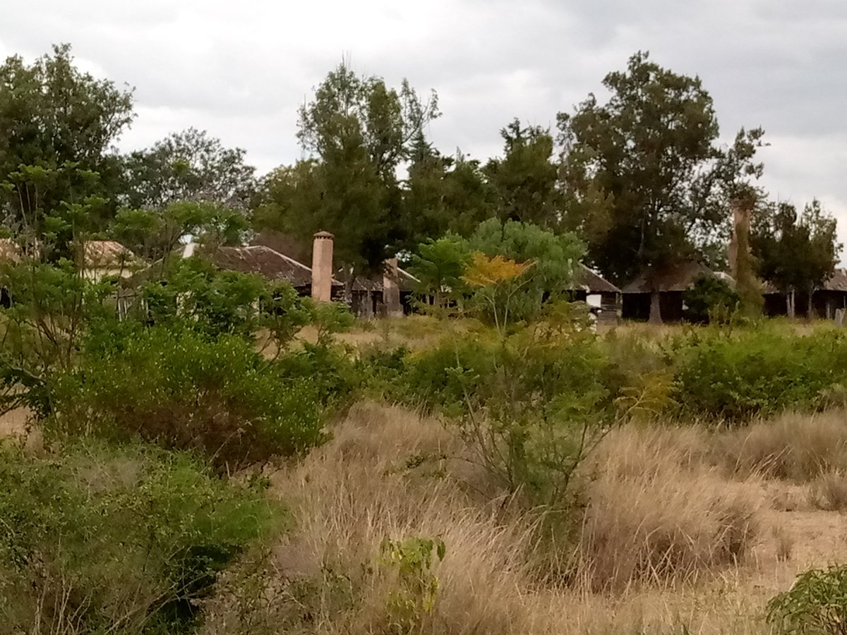 There's a big story here for good story tellers to tell. The Silverbeck Hotel, smack on the equator as you enter Nanyuki town from Nairobi. Dilapidated cottages inside overgrown bushes that have remained closed since the reception, bar and restaurant building burnt down in 1972.